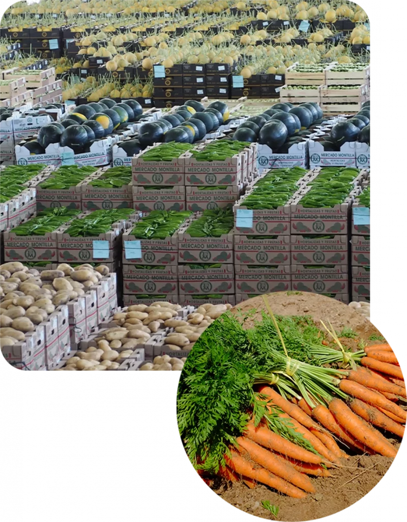 Mercado mayorista con hortalizas, calabazas, patatas y zanahorias