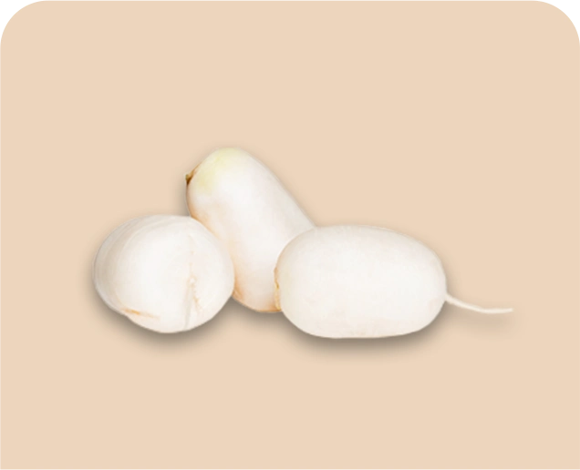 Tres champiñones blancos sobre fondo beige