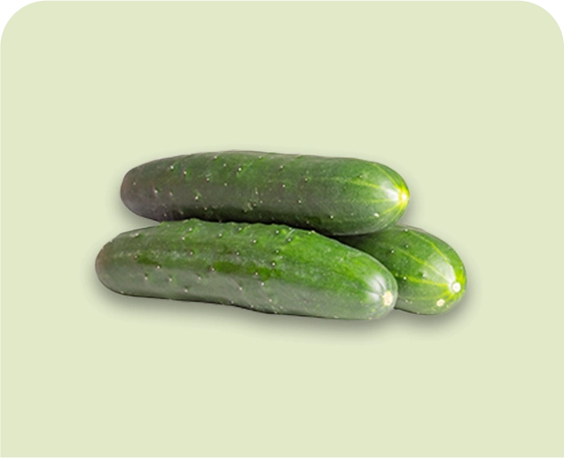 Tres pepinos verdes sobre fondo verde claro