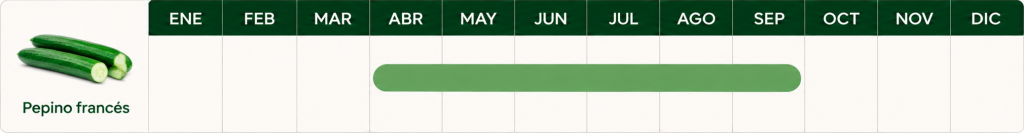 Calendario de temporada del pepino francés de abril a septiembre