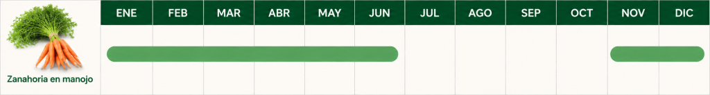 Calendario de temporada de zanahoria en manojo