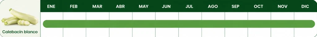 Calendario anual de cultivo de calabacín blanco